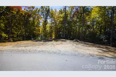 106 Skydance Trail, Hendersonville, NC 28739 - Photo 6