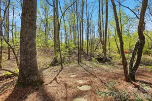 1134 Bromley Drive, Weddington, NC 28104 - Photo 42