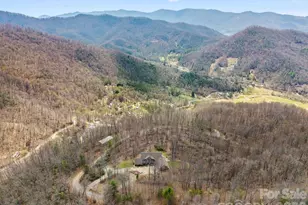 588 Long Branch Rd, Swannanoa, NC 28778 - Photo 42
