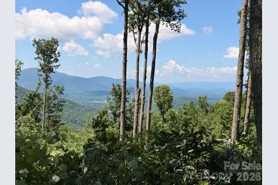 588 Long Branch Road, Swannanoa, NC 28778 - Photo 44
