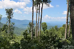 588 Long Branch Rd, Swannanoa, NC 28778 - Photo 44