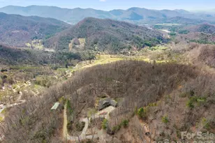 588 Long Branch Rd, Swannanoa, NC 28778 - Photo 42