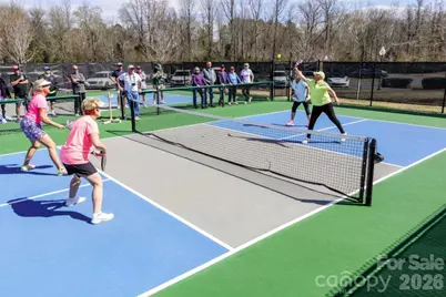 1015 Sweetleaf Drive, Fort Mill, SC 29707 - Photo 40