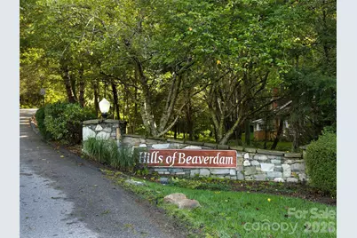 101 Skyview Drive, Asheville, NC 28804 - Photo 46