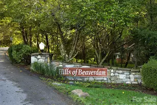 101 Skyview Dr, Asheville, NC 28804 - Photo 46