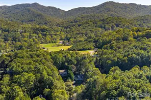 101 Skyview Dr, Asheville, NC 28804 - Photo 44