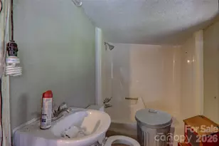 719 Camp Branch Rd, Waynesville, NC 28786 - Photo 12