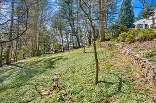 4 Dogwood Rd, Asheville, NC 28804 - Photo 6