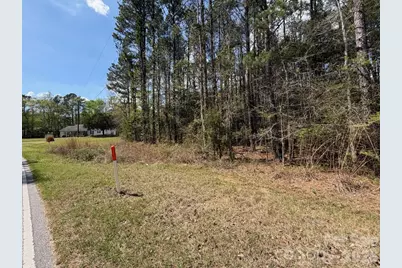 00 Brooklyn Road, Great Falls, SC 29055 - Photo 2