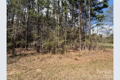 00 Brooklyn Road, Great Falls, SC 29055 - Photo 1