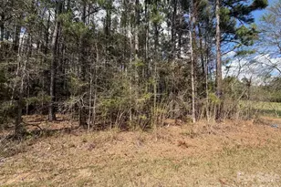 00 Brooklyn Rd, Great Falls, SC 29055 - Photo 1