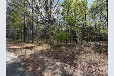 00 Bethlehem Road, Blackstock, SC 29014 - Photo 4