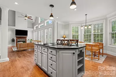 14515 Davis Trace Drive, Mint Hill, NC 28227 - Photo 8