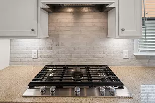 3020 Bartlett St, Fort Mill, SC 29715 - Photo 12