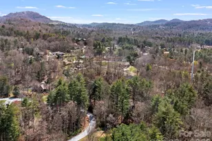 290 Sweetwater Hills Dr, Hendersonville, NC 28791 - Photo 10