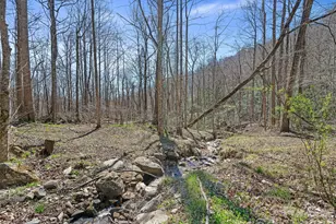 966 Waites Hollifield Rd, Marion, NC 28752 - Photo 22