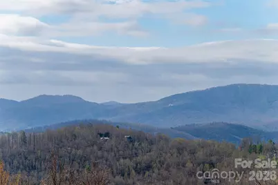1203 Fleetwood Plaza, Hendersonville, NC 28739 - Photo 10