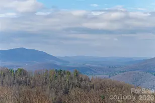 1203 Fleetwood Plaza, Hendersonville, NC 28739 - Photo 20