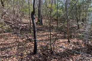 541 Community Rd, Shelby, NC 28152 - Photo 10