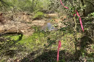 541 Community Rd, Shelby, NC 28152 - Photo 8