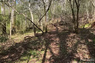 541 Community Rd, Shelby, NC 28152 - Photo 12