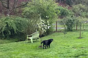 450 W Piney Mountain Rd, Whittier, NC 28789 - Photo 8