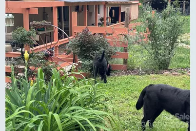 450 W Piney Mountain Road, Whittier, NC 28789 - Photo 6