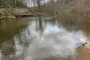 315 N River Rd, Sylva, NC 28779 - Photo 28