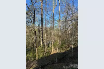 315 N River Road, Sylva, NC 28779 - Photo 34