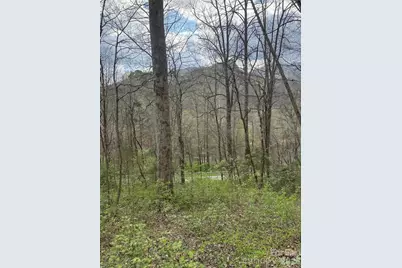 315 N River Road, Sylva, NC 28779 - Photo 32