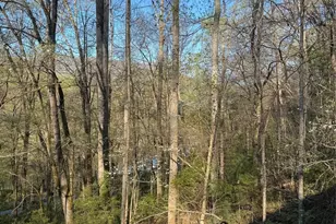 315 N River Rd, Sylva, NC 28779 - Photo 30