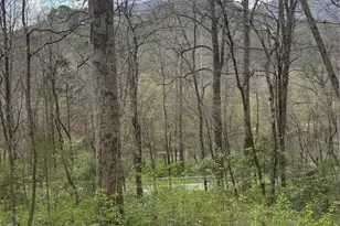 315 N River Rd, Sylva, NC 28779 - Photo 30