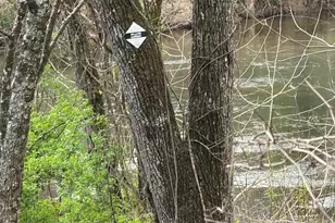 315 N River Rd, Sylva, NC 28779 - Photo 26