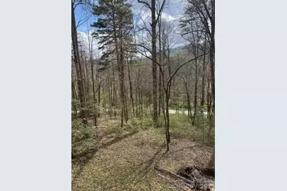 315 N River Road, Sylva, NC 28779 - Photo 2