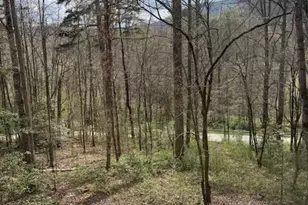 315 N River Rd, Sylva, NC 28779 - Photo 2