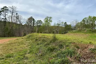 990 Romey Campbell Rd, Ellenboro, NC 28040 - Photo 48