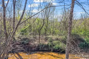 990 Romey Campbell Rd, Ellenboro, NC 28040 - Photo 10