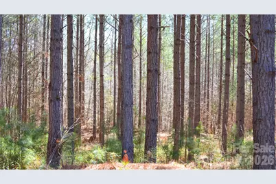 00 Bobby Faucette Road #6, Jonesville, SC 29353 - Photo 8