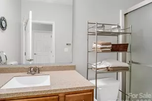 142 Brickton Village Cir, Fletcher, NC 28732 - Photo 24