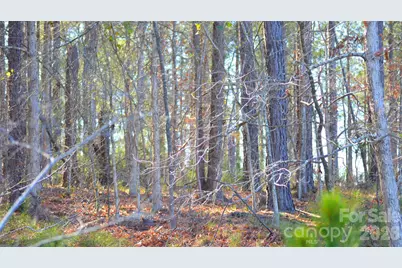 00 Bobby Faucette Road #8, Jonesville, SC 29353 - Photo 10