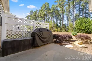 1002 Falling Leaf St, Indian Land, SC 29707 - Photo 30