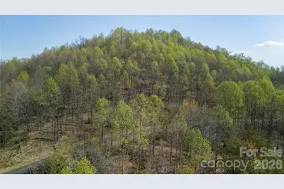 Tbd Owls Ridge Road, Bostic, NC 28018 - Photo 12