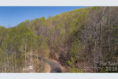 Tbd Owls Ridge Road, Bostic, NC 28018 - Photo 4