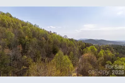 Tbd Owls Ridge Road, Bostic, NC 28018 - Photo 10