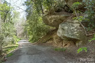 40 Morning Dove Ln, Flat Rock, NC 28731 - Photo 42