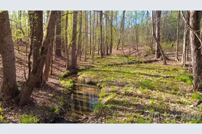 00 Bobby Faucette Road #9, Jonesville, SC 29353 - Photo 10