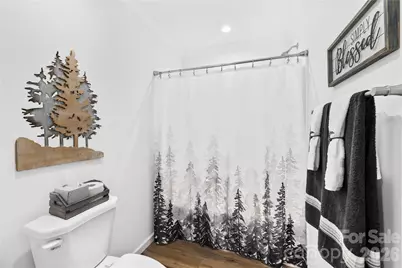 7822 Stillwater Drive, Sherrills Ford, NC 28673 - Photo 32