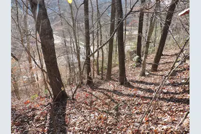 10 Whitman Lane #41, Black Mountain, NC 28711 - Photo 4