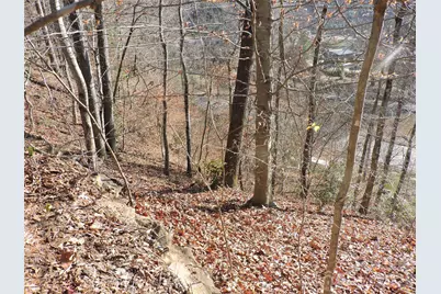 10 Whitman Lane #41, Black Mountain, NC 28711 - Photo 8