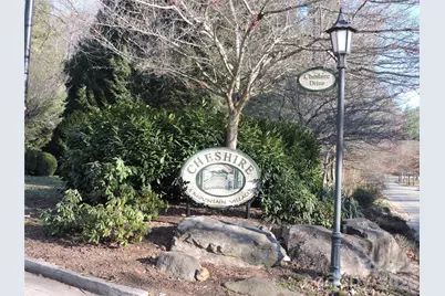 10 Whitman Lane #41, Black Mountain, NC 28711 - Photo 24